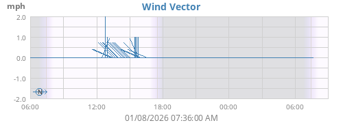 Wind Vector