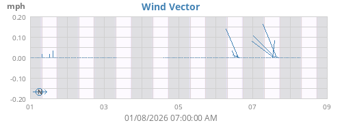 Wind Vector