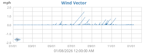 Wind Vector
